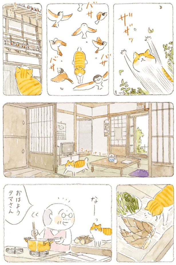 おはようタマさん （C）ねこまき（ミューズワーク）／KADOKAWA