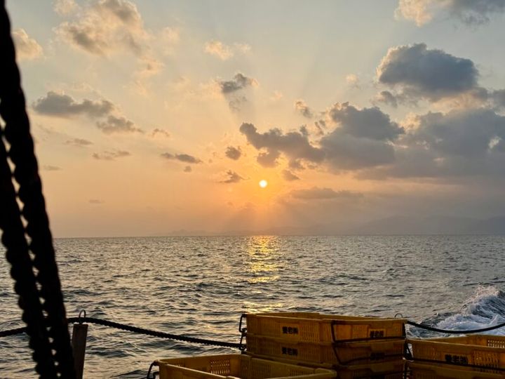 海の京都 養老漁港 定置網漁体験03