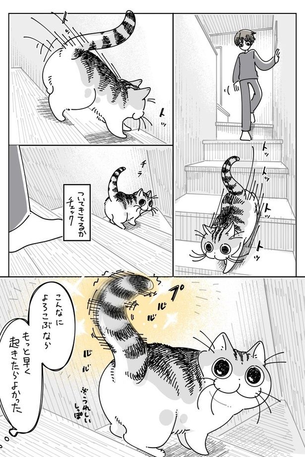 02 画像提供：キュルZ@kyuryuZ