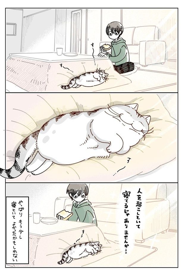 04 画像提供：キュルZ@kyuryuZ