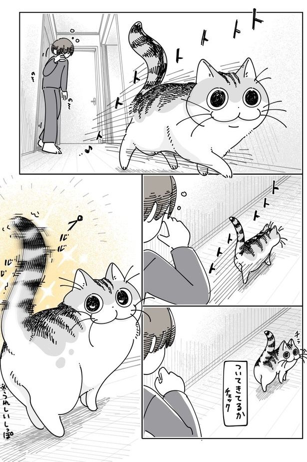 『起こしておきながら』01 画像提供：キュルZ@kyuryuZ