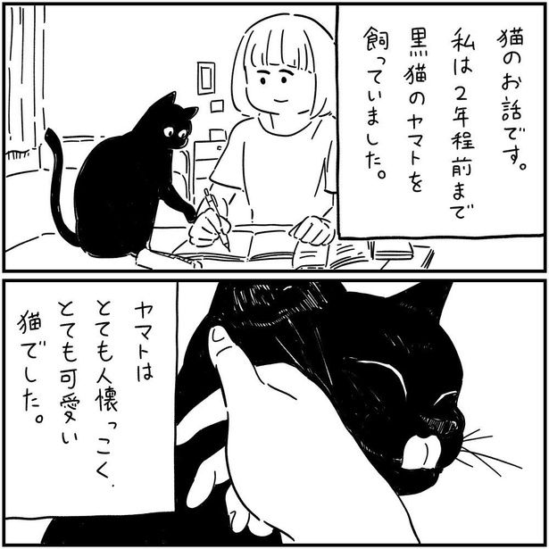 猫のヤマト(2) 画像提供；(c)しろやぎ秋吾／双葉社