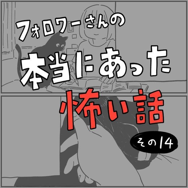 【漫画】黒猫が会いにきた理由とは？ 画像提供；(c)しろやぎ秋吾／双葉社