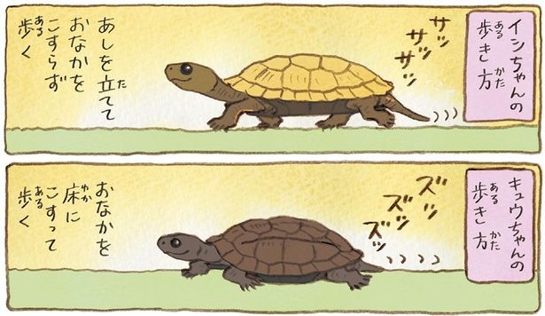 歩き方 （C）やましたこうへい／KADOKAWA