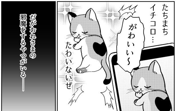 猫は本当にぶりっ子する!!ぶりっ子しているとわかっていても、かわいいものはかわいい!! はるしおん(@haruharucyon)