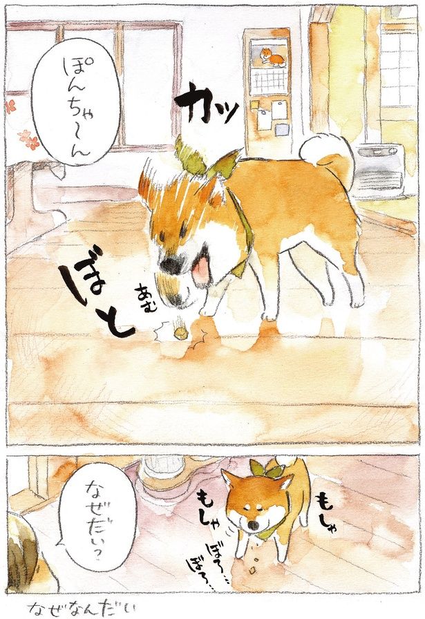 なぜだい？ （C）犬山スケッチ／KADOKAWA