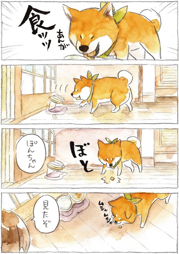 見たぞ （C）犬山スケッチ／KADOKAWA