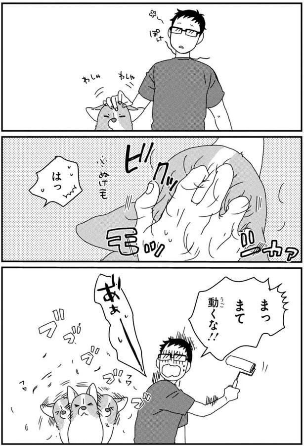 まっまて 動くな！！ (C)らくだ／KADOKAWA