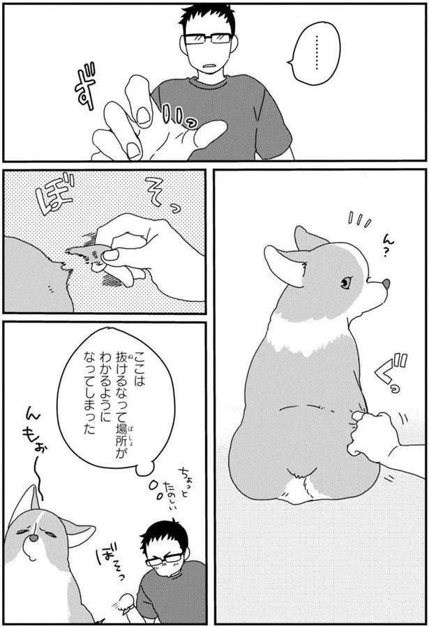 ここは抜けるなって場所がわかるようになってしまった (C)らくだ／KADOKAWA