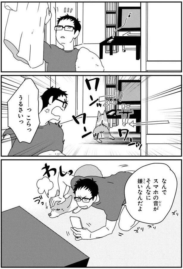 っこらっうるさいっ (C)らくだ／KADOKAWA