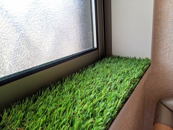 ポストに『人工芝』を敷くだけで…！？意外すぎるけど超便利。知らなきゃ損な【100均】裏ワザ！