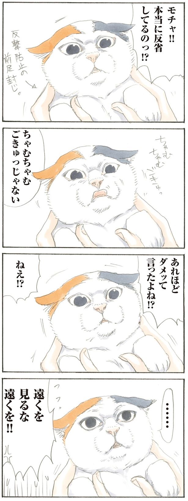 本当に反省してるのっ!? （C）にごたろ／KADOKAWA