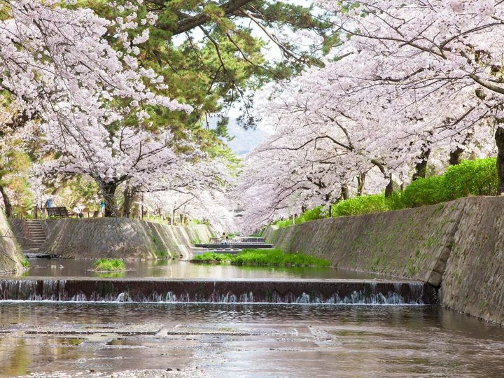 All About ニュース編集部は、全国10～70代の男女250人を対象に「阪急電鉄」に関する独自のアンケート調査を実施。治安が良いイメージのある阪急電鉄の駅で1位に選ばれたのは？