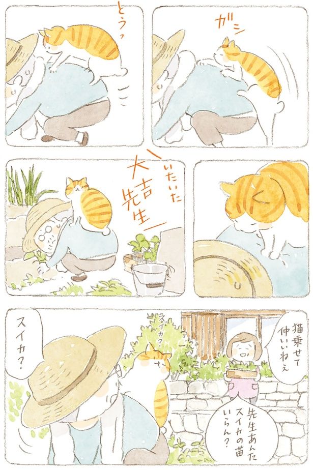 猫乗せて仲いいねぇ （C）ねこまき（ミューズワーク）／KADOKAWA