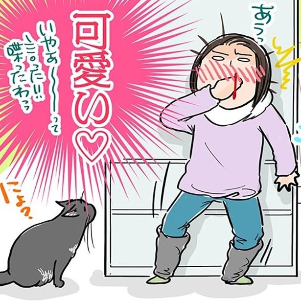 か、かわいすぎ!!愛猫がしゃべった「言葉」とは？ 画像提供：藤緒ミルカ(@mirumirupakupa1)