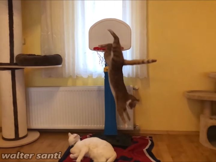 次々とボールをブロック！