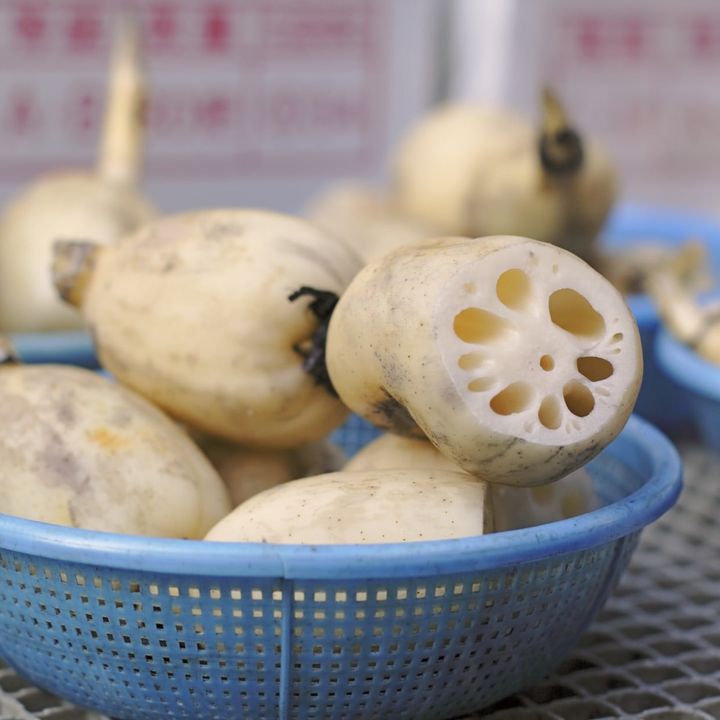 じっくり見たことなかった…。失敗しない「れんこん」の選び方3つ「覗いたら黒いかも」