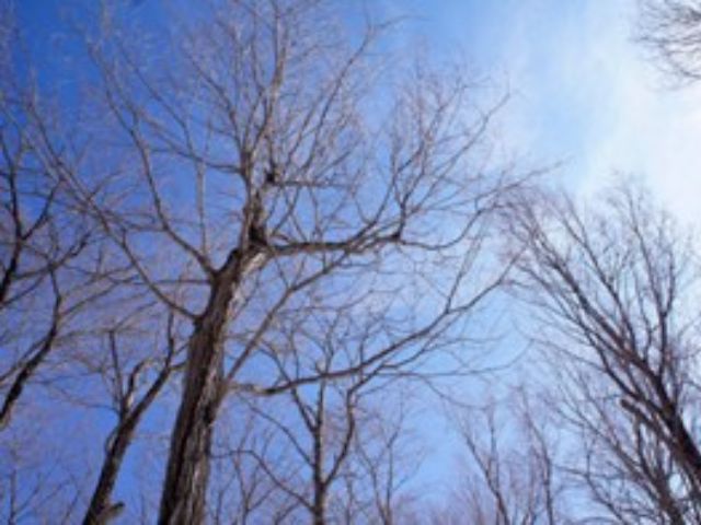 冬の気候イメージ