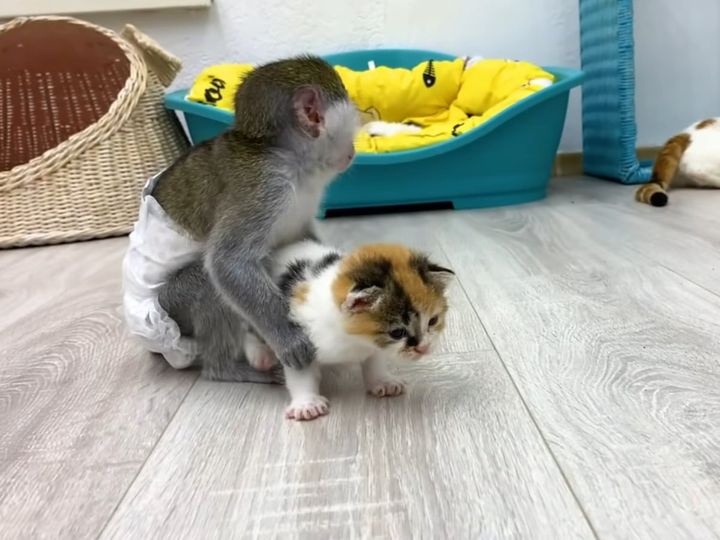 まるで家族みたい？