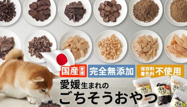 未利用の鹿・猪を活かした愛媛県産の無添加ペットおやつ「道後もぐもぐ」新発売