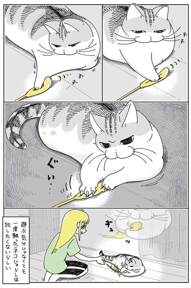 一度触ったネコじゃらしは放したくないらしい （C）キュルZ／KADOKAWA