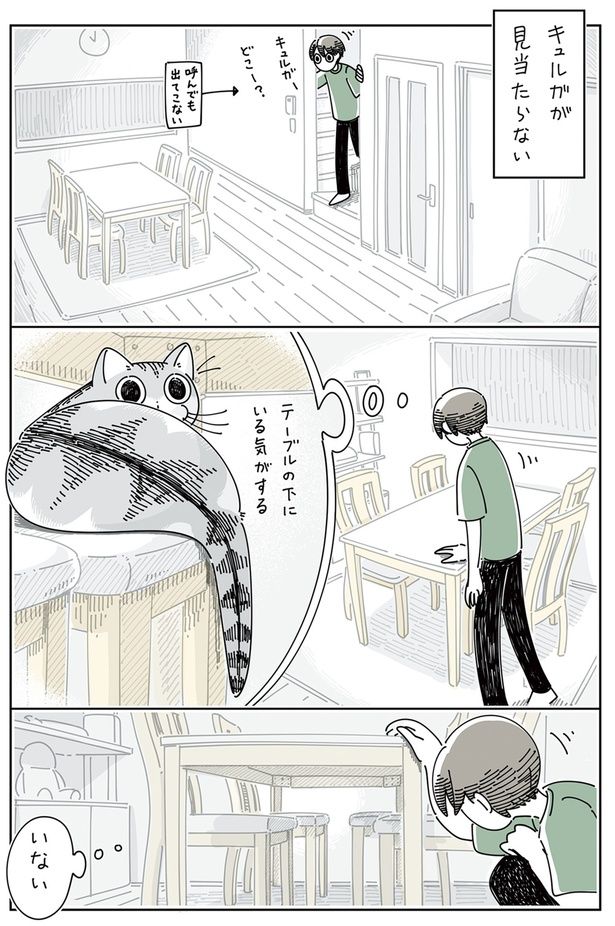 ネコがどこにも見当たらない （C）キュルZ／KADOKAWA