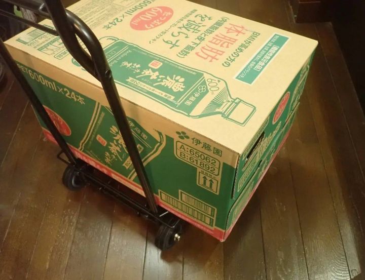 DAISO(ダイソー)：折り畳みキャリー