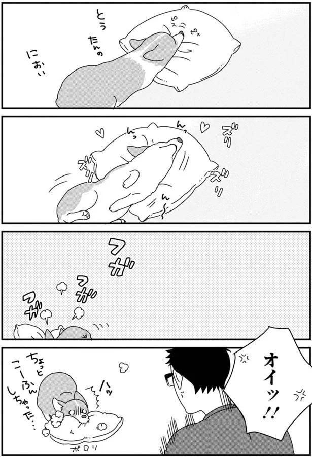 ちょっと こーふんしちゃった… (C)らくだ／KADOKAWA