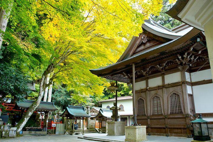 年末の慌ただしさを乗り切る！トラブルを防ぐ「深呼吸と整理術」｜ハーレー和尚のバイク説法