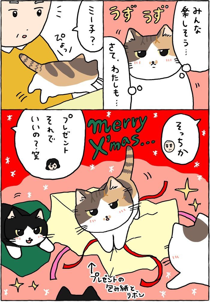 ミー子のクリスマスプレゼント。【てらねこミー子の日常】