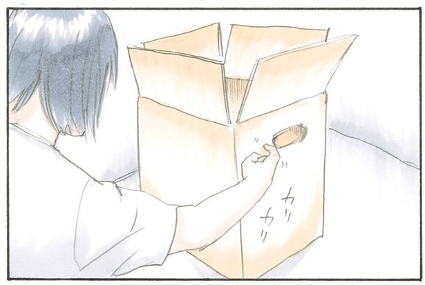 立てこもる猫にちょっかいをかけてみた （C）にごたろ／KADOKAWA