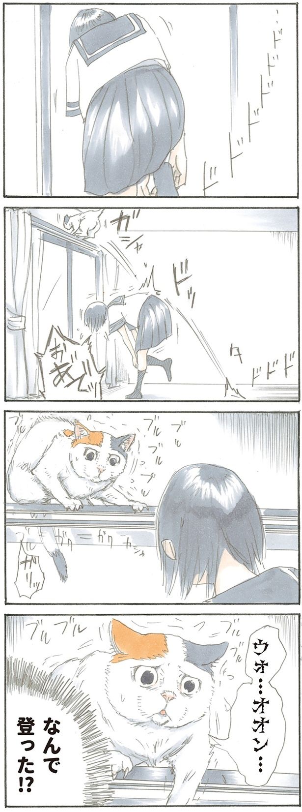 なんで登った!? （C）にごたろ／KADOKAWA