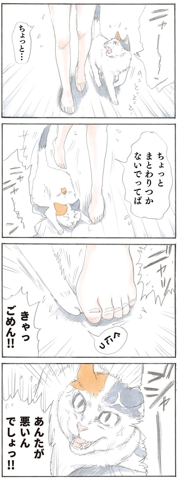 あんたが悪いんでしょっ!! （C）にごたろ／KADOKAWA