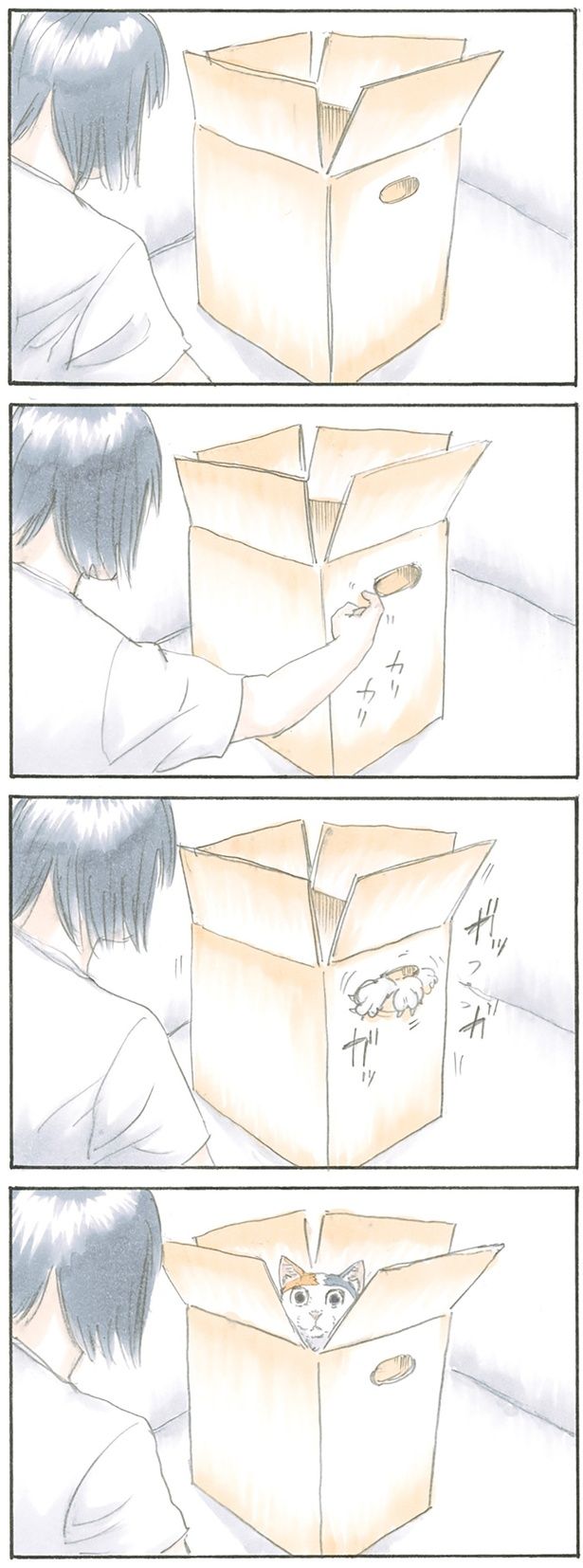 猫の要塞 （C）にごたろ／KADOKAWA