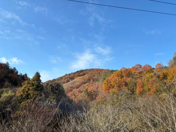 新幹線の車窓からの風景