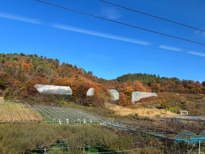 新幹線の車窓からの風景