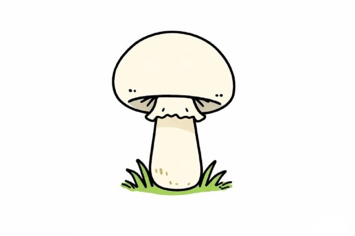 C：白いキノコ