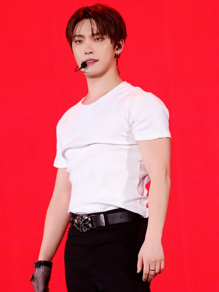 SEVENTEEN セブンティーン ライブレポート ソロ DINO Trigger