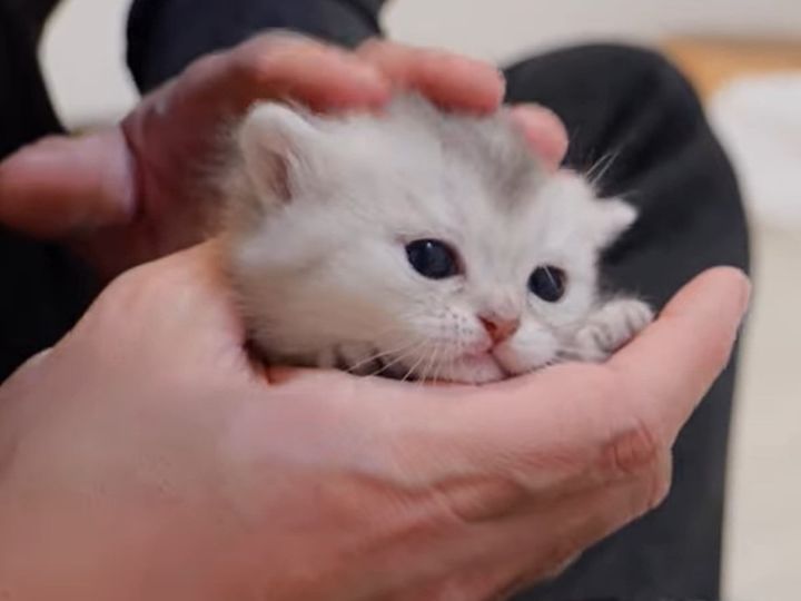 ナデナデされてうれしそう！