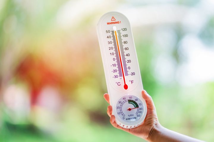 湿度が高すぎるとカビの原因になる