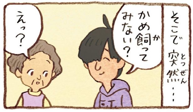 かめ飼ってみない？ （C）やましたこうへい／KADOKAWA