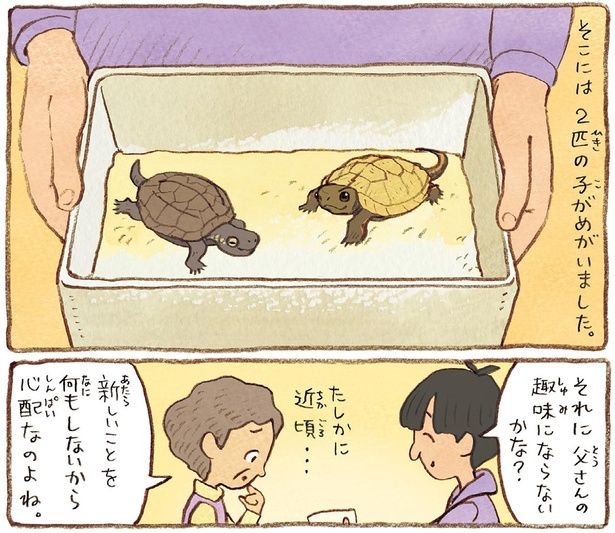 父さんの趣味にならないかな？ （C）やましたこうへい／KADOKAWA