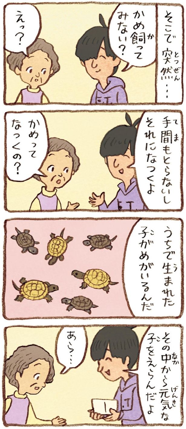 かめってなつくの？ （C）やましたこうへい／KADOKAWA