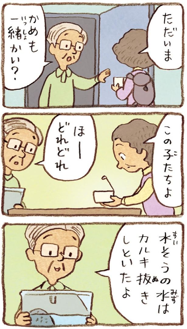 かめも一緒かい？ （C）やましたこうへい／KADOKAWA