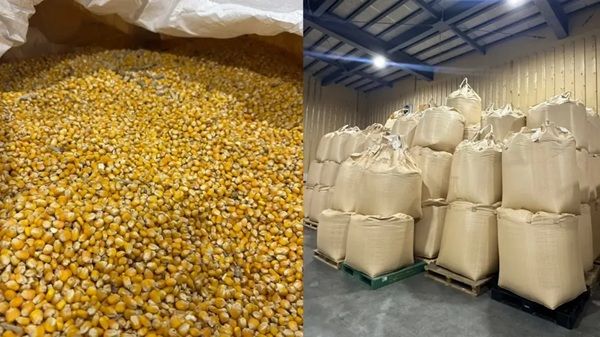 50樽限定！北海道大樹町発の国産ウイスキー「PEATLAND」、カスクオーナー第2期募集中