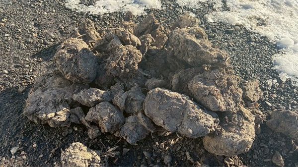 50樽限定！北海道大樹町発の国産ウイスキー「PEATLAND」、カスクオーナー第2期募集中