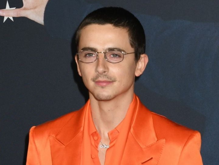 ティモシー・シャラメ、覆面ラッパー説に決着 恋人カイリー・ジェンナーを歌うリミックス曲でコラボ （C）AFLO width=