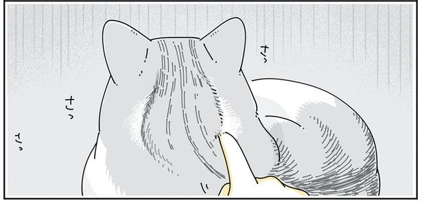 猫の後頭部に… （C）キュルZ／KADOKAWA