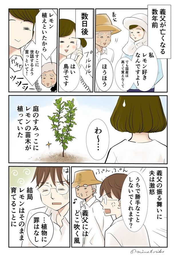 庭のすみっこに植えられたレモンの苗木 （C）峯鳥子