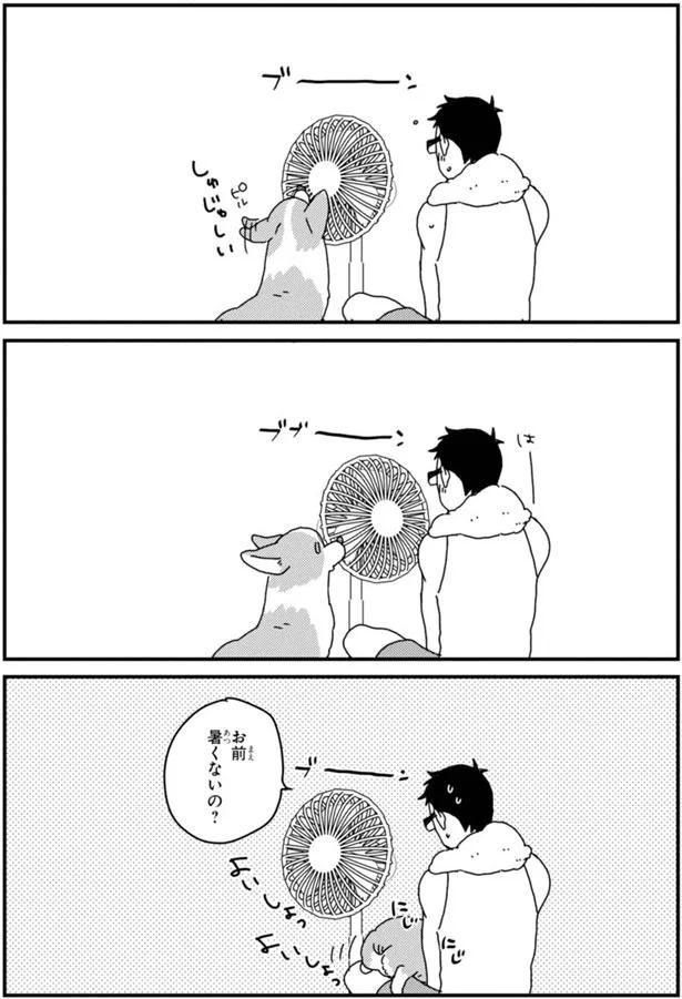 お前 暑くないの？ (C)らくだ／KADOKAWA